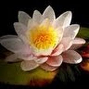 Meet your Posher, Jil